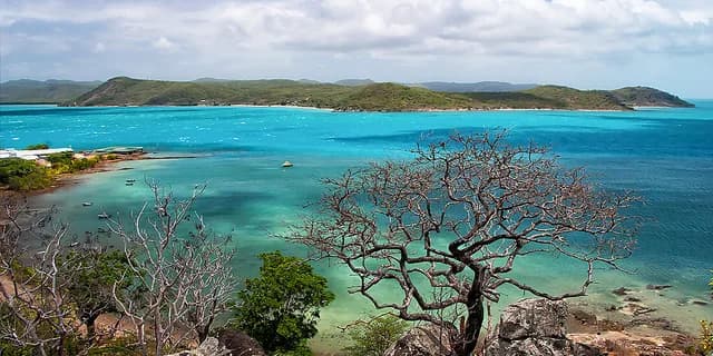 New Guinea Odyssey