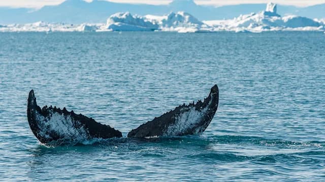 In the heart of the Northwest Passage