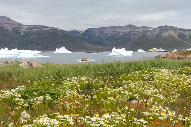 South Greenland: Alpine Exploration by Helicopter