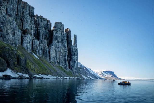 Alkefjellet: Arctic Seabird Cliffs of Svalbard