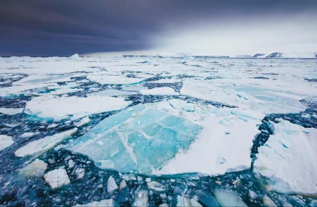 Snow Hill Antarctica: Where Sea Ice Shapes Discovery