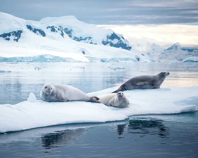 Antarctic Peninsula: Crossing the Circle