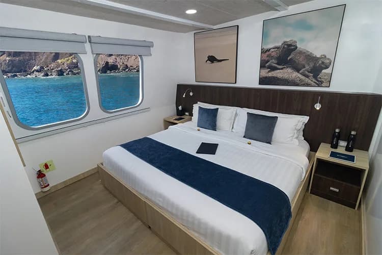 Standard Cabin