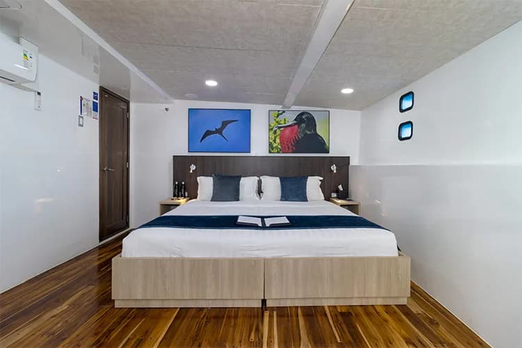 Standard Cabin