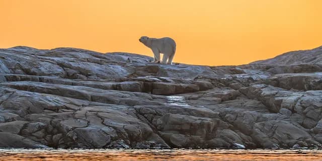 16-Day Exploring The Torngat Mountains & Baffin Island