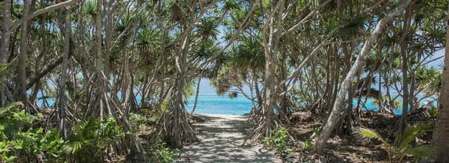 19-Day World Cruise: South Pacific Isles