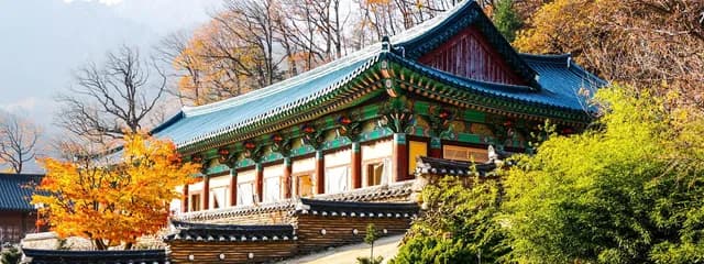 28-Day In-depth Exploration Of Japan's Fall Foliage