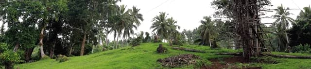 16-Day Remote Indonesia & Papua New Guinea