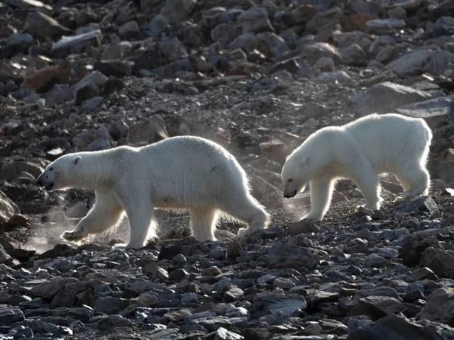 20-Day Northwest Passage & Baffin Island        Expedition