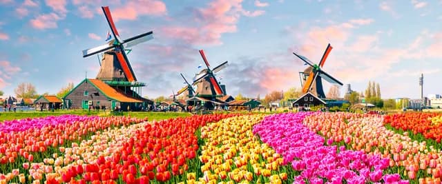 Windmills, Tulips & Belgian Delights