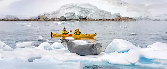 Wonders of Patagonia & Antarctica - Cruise & Land Journey