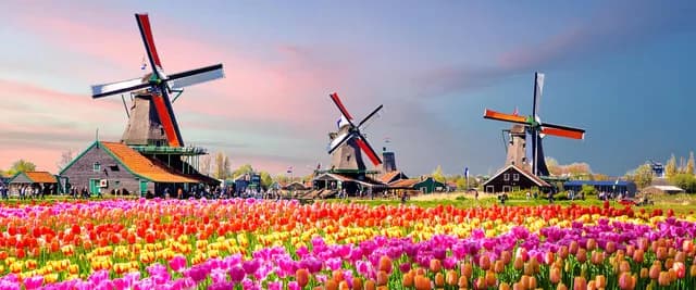 Rhine Highlights, Windmills, Tulips and Belgian Delights