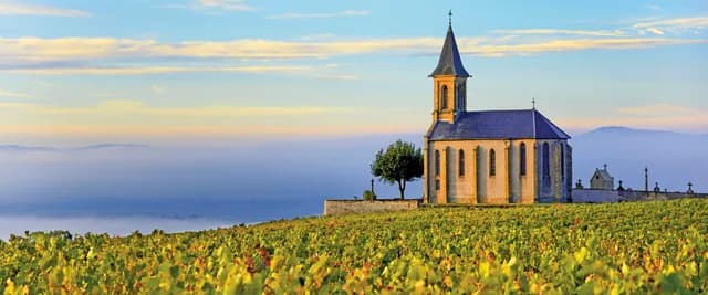 Idyllic Rhône