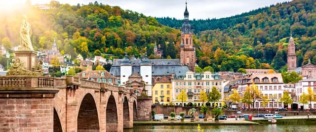 Rhine Highlights