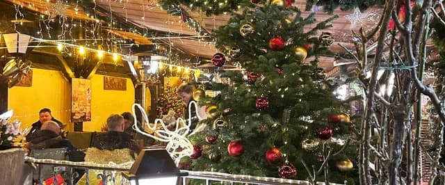 Rhine Christmas Markets with Switzerland