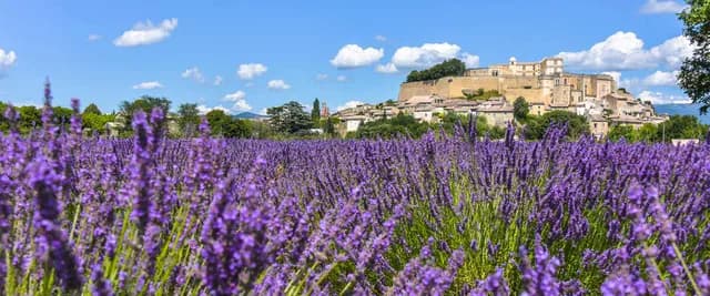 Idyllic Rhône with French Riviera