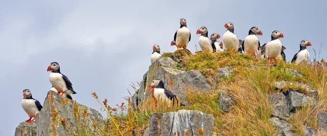 Wonders of the High Arctic: Reykjavik Extension - Cruise & Land journey