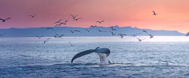 Ultimate Voyage: Greenland & Canada's Hudson Bay