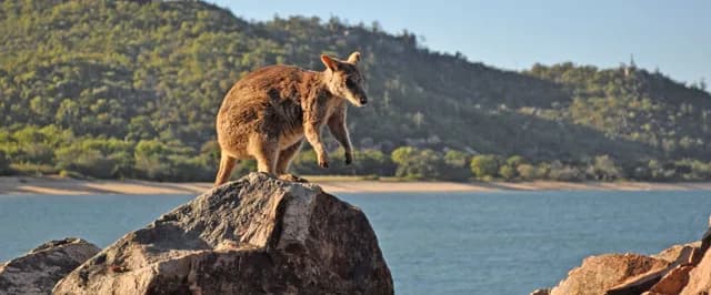 Australia’s East Coast & the Great Barrier Reef