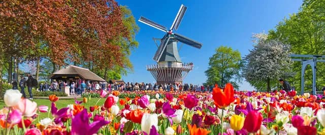 Windmills, Tulips & Belgian Delights with Amsterdam & Bruges