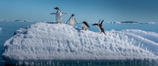 Antarctica, South Georgia & Falkland Islands