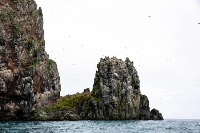 Discover Svalbard and the Norwegian Arctic: cruise from Tromsø to Longyearbyen