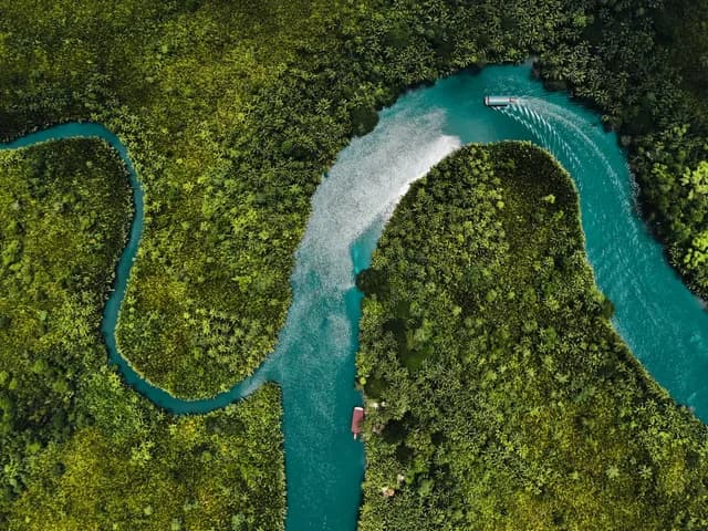 Expedition Brazil: From the Amazon Delta to Bahia Shores