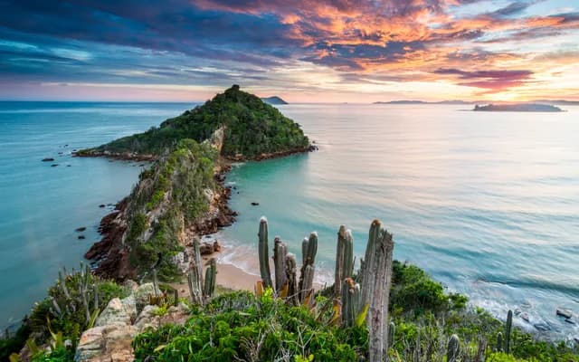 Soul, Samba and Sea: Journey to the Heart of Brazil