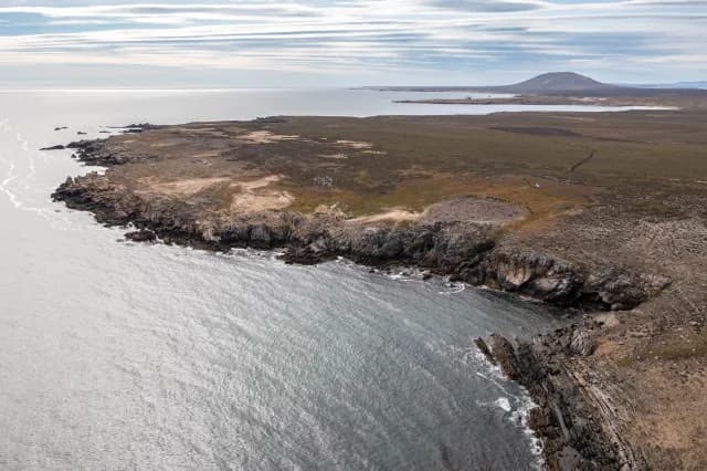 In Shackleton's Footsteps: Falklands, South Georgia and the Antarctic Peninsula