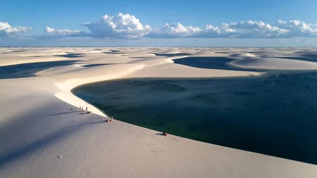 Expedition Brazil: From the Amazon Delta to Bahia Shores