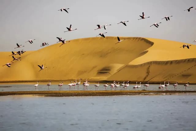Cape Town to Dakar