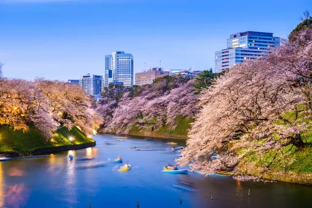 Tokyo to Vancouver