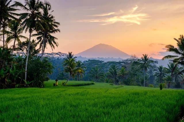 Bali Food Guide Balinese Cuisine
