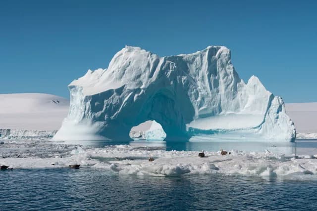 King George Island to Puerto Williams