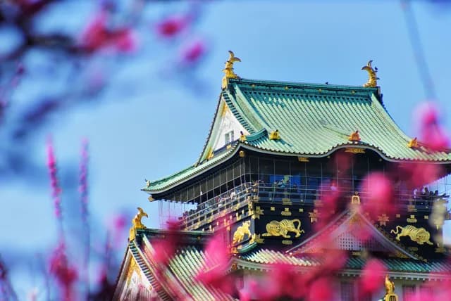 Tokyo to Tokyo