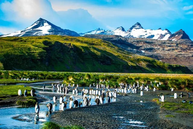 Puerto Williams to Puerto Williams
