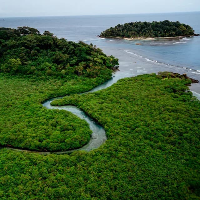 Costa Rica & Panama Coastal Expedition Cruise