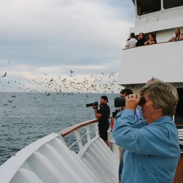 In Steinbeck's Wake: An Epic Voyage Through the Sea of Cortez