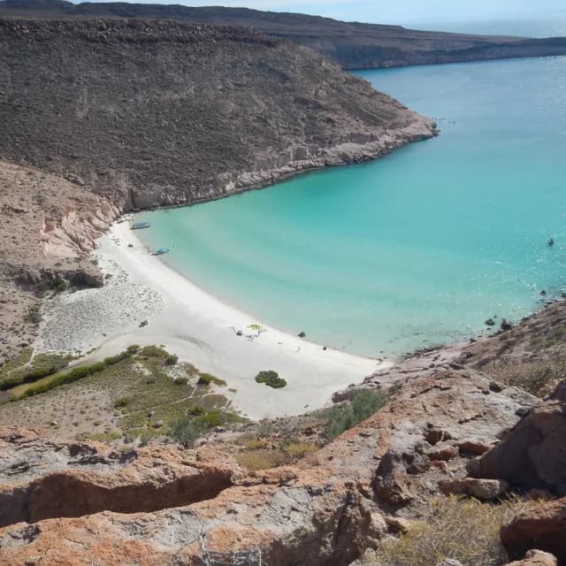 Baja California's Whales & Sealife