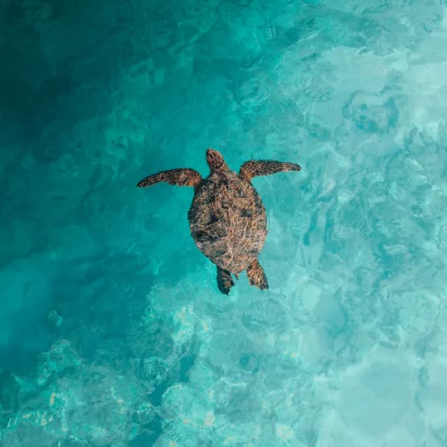 Costa Rica & Panama Coastal Expedition Cruise