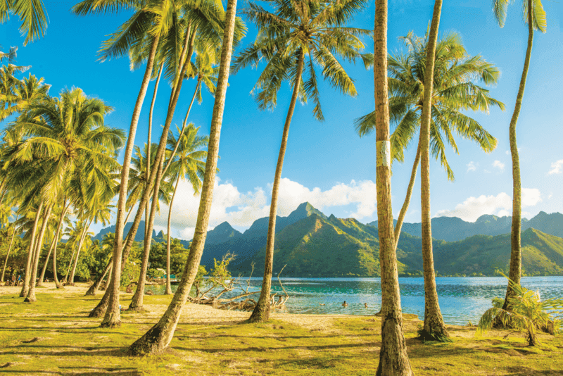 Pearls of the Pacific: The Society and Tuamotu Islands