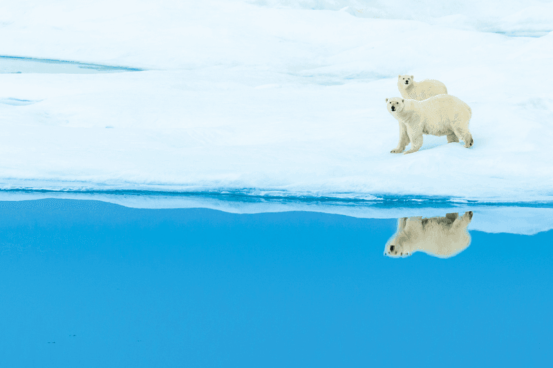 Northwest Passage: Greenland to Alaska