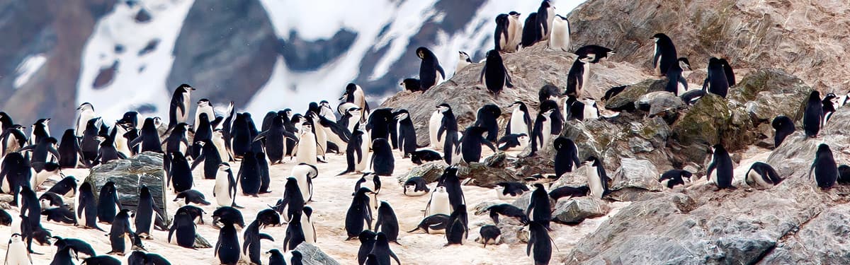 Antarctic Circle Crossing: Beyond the Antarctic Circle