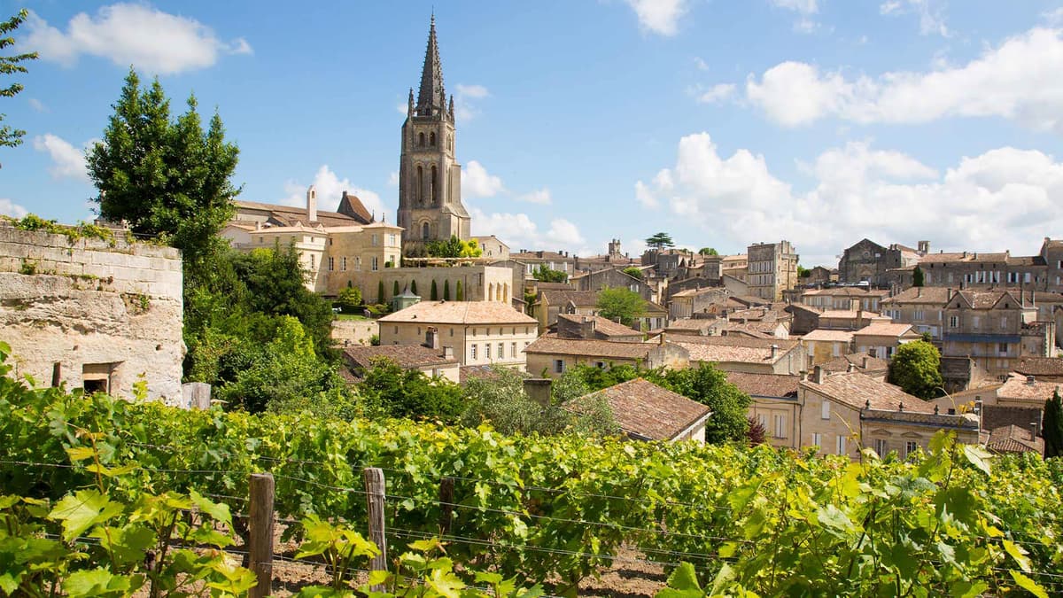 Vineyards & Vignettes