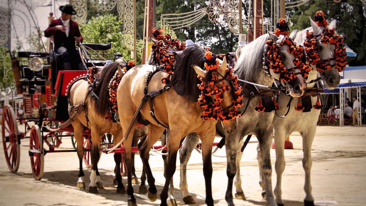 Flamenco & Festivals
