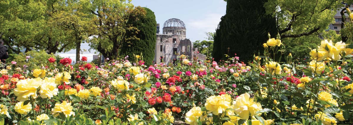 Springtime Splendour in Japan Cruise