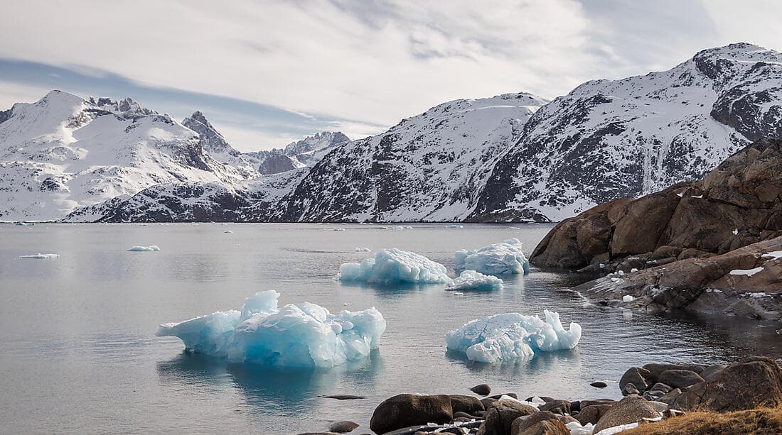 The wild archipelagos of the North Atlantic