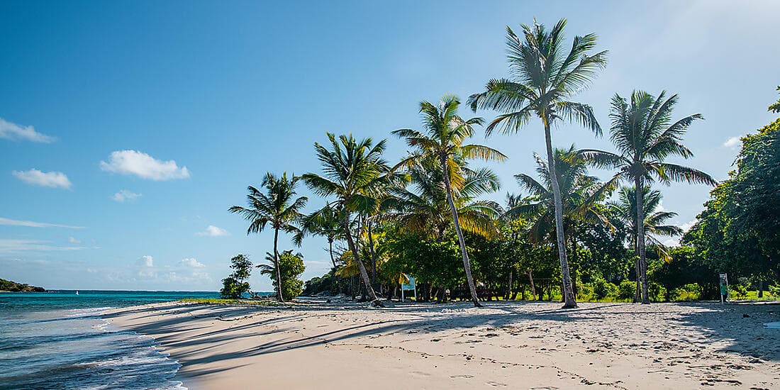 Secret treasures of the Lesser Antilles