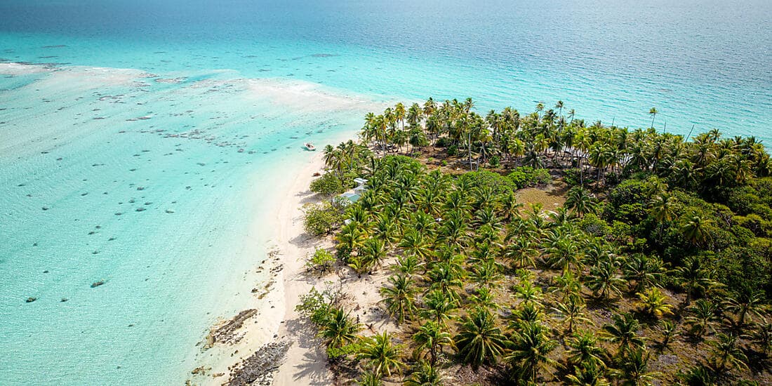 Ancestral Cultures of the South Pacific