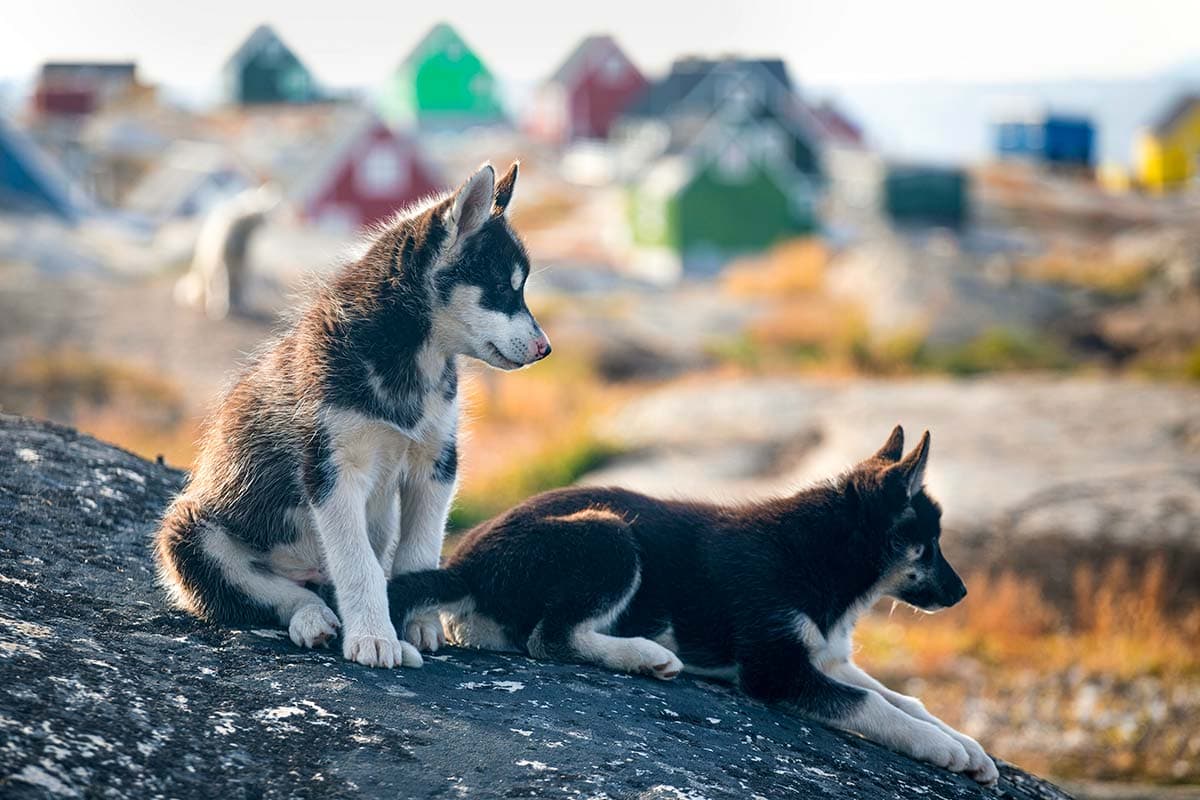Greenland: Disko Bay & Beyond